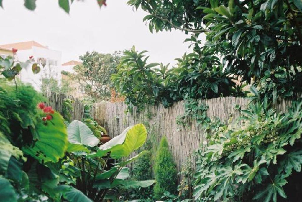 Apartment With Private Garden OOporto Camera foto